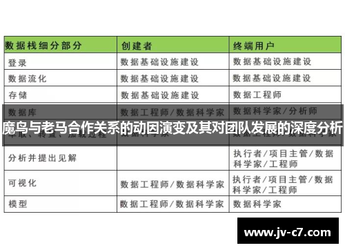 魔鸟与老马合作关系的动因演变及其对团队发展的深度分析
